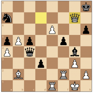 Chess Checkmate Position